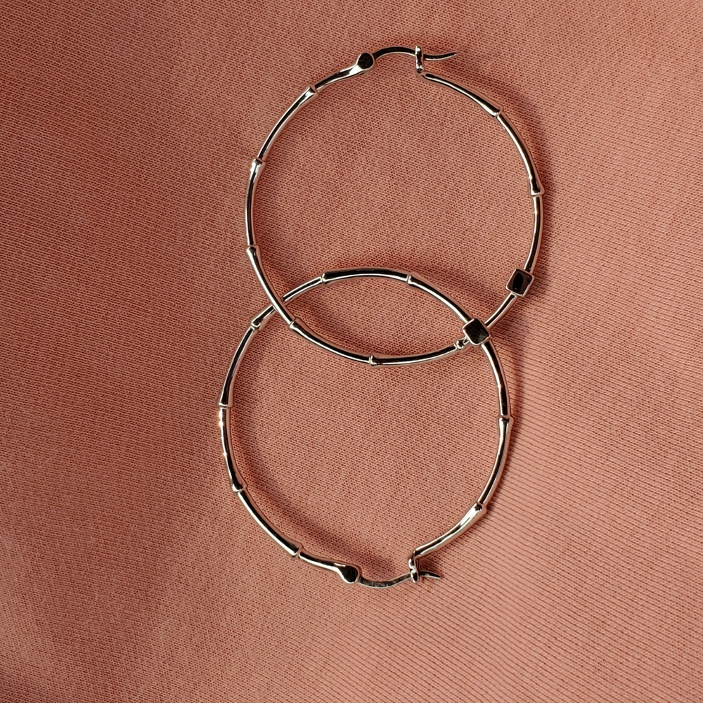 Elegant Silver Hoop Earrings